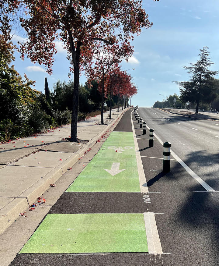 Photo of a flex-post protected bikeway in Newark CA