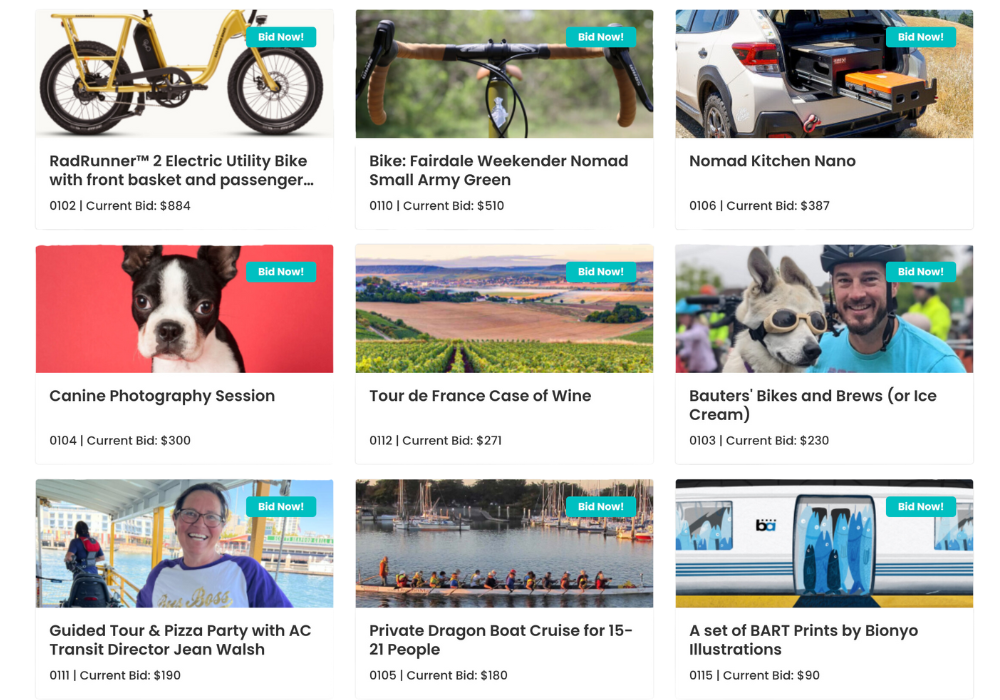 Thumbnail images of different auction items: bicycles, dog portrait sessions, art