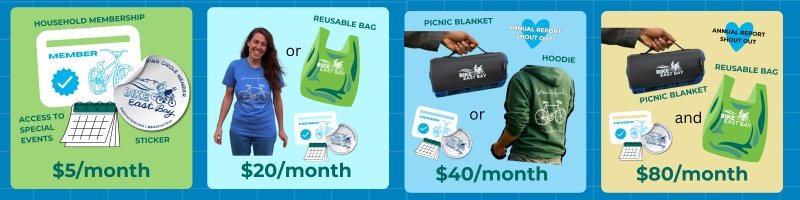 An infographic sharing perks for different tiers of membership, ranging from stickers to shirts to reusable bags.