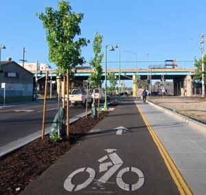 photo of a raised, sidewalk level protected bikeway on Fruitvale Ave in Oakland, with a row of newly planted trees to the left between the bikeway and traffic, and a tactile guide strip to the right between the bikeway and the sidewalk