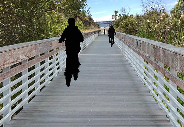 Concept illustration rendering of the Point Molate Bay Trail boardwalk