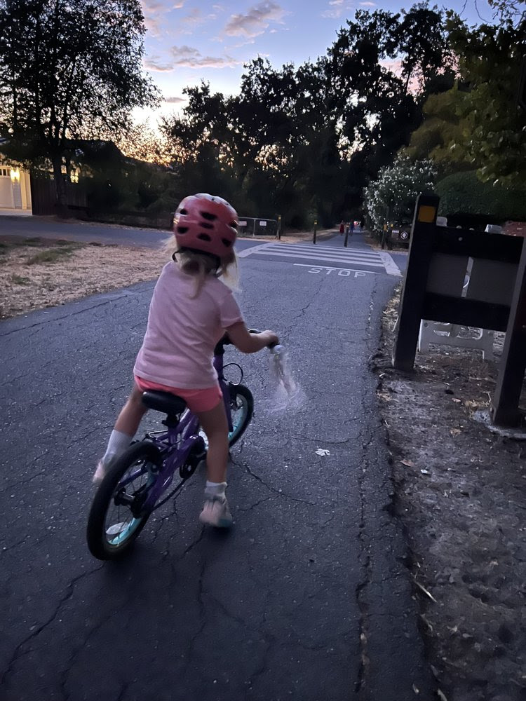 A young girl with blonde hair, wearing a pink shirt, pink shorts, and a pink helmet, rides a purple bicycle down a paved path at dusk. She is seen from behind, pedaling toward a crosswalk with a "STOP" sign painted on the ground. The background features dark trees against a twilight sky with hues of orange and blue. To the right, there is a dark wooden fence and lush greenery with white flowers.