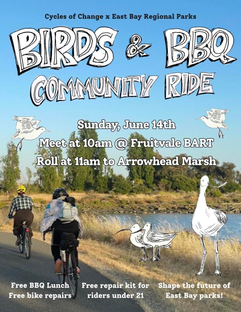 An image flyer for a community event titled "BIRDS & BBQ COMMUNITY RIDE," hosted by Cycles of Change x East Bay Regional Parks. Background and Visuals The top half of the flyer features a clear blue sky, while the bottom half shows a paved bike path alongside a marshy shoreline with green trees and yellow-brown grass. Two people are depicted from behind, riding bicycles down the path away from the camera. Several hand-drawn, black-and-white illustrations of shorebirds are scattered across the image—two flying in the sky, two standing in the grass, and one tall, stylized bird standing prominently on the bottom right. Event Details (Centered Text) Date: Sunday, June 14th Meeting Info: Meet at 10am @ Fruitvale BART Departure Info: Roll at 11am to Arrowhead Marsh Perks and Features (Bottom Text Columns) Left Column: Free BBQ Lunch / Free bike repairs Middle Column: Free repair kit for riders under 21 Right Column: Shape the future of East Bay parks!