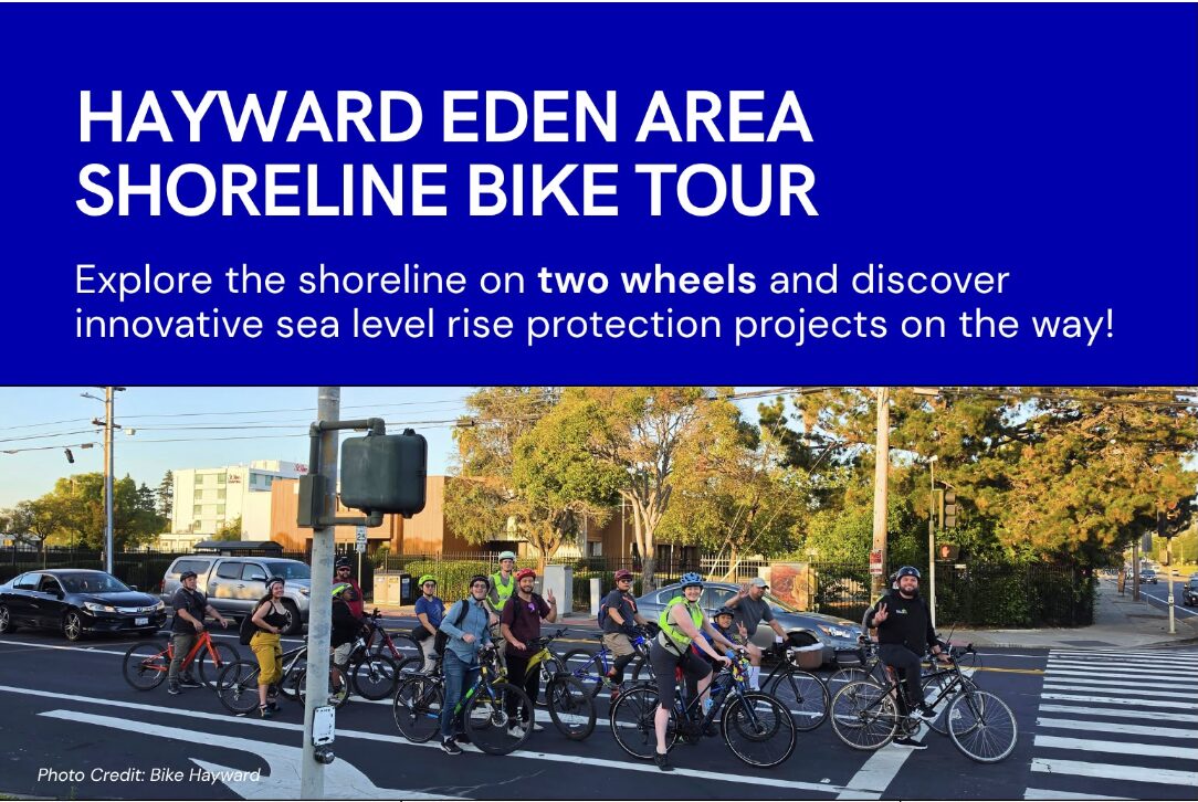 An image with a large blue banner on top and a photo of a group of cyclists below. The blue banner features white text that reads, "HAYWARD EDEN AREA SHORELINE BIKE TOUR" in all capital letters. Below it, a smaller subheadline reads, "Explore the shoreline on two wheels and discover innovative sea level rise protection projects on the way!" The bottom half of the image shows a photo of approximately twelve cyclists of diverse backgrounds stopped on their bicycles at a city intersection crosswalk. Photo Credit: Bike Hayward.